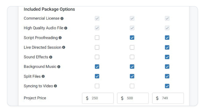 Included Package Options and Project Price Example